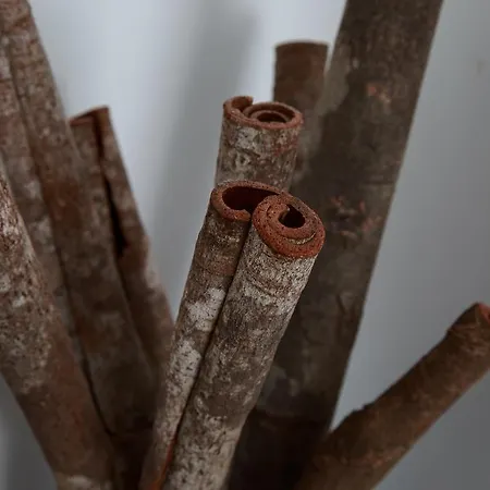 Guest house Nene-il Vicolo And Bellagio